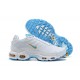 Nike Air Max Plus Tn Mens White Blue Footwear