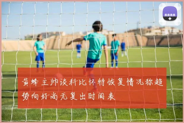 黄蜂主帅谈科比怀特恢复情况称趋势向好尚无复出时间表